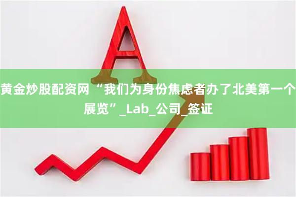 黄金炒股配资网 “我们为身份焦虑者办了北美第一个展览”_Lab_公司_签证