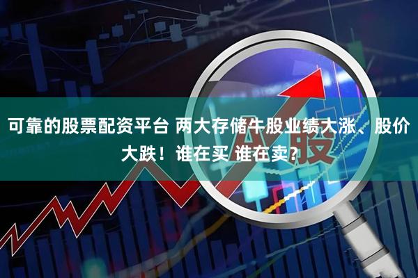可靠的股票配资平台 两大存储牛股业绩大涨、股价大跌！谁在买 谁在卖？